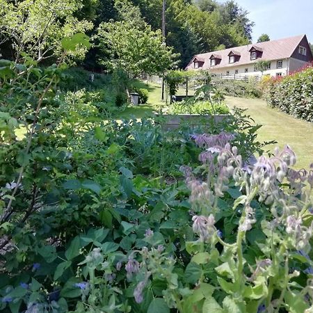 Bed and Breakfast La Climontaine Urbeis Exterior foto