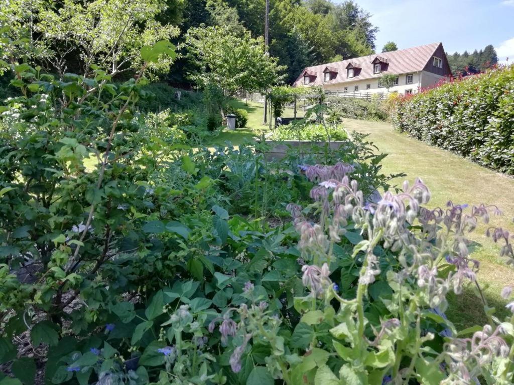 Bed and Breakfast La Climontaine Urbeis Exterior foto